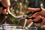 ZWILLING Four Star Traveller Set de cuchillos de 7 piezas para viajes, juego de 3 cuchillos, tabla de cortar, cuchillo de sumer, tijeras multiusos y bolsa de transporte, fabricado en Alemania
