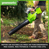 Greenworks GD40ABK2X Soplador de Hojas a Batería Axial con Motor sin Escobillas, 210 km/h, 15,6 m³/min, Dos Baterías de 40V 2Ah y Cargador, Garantía de 3 Años