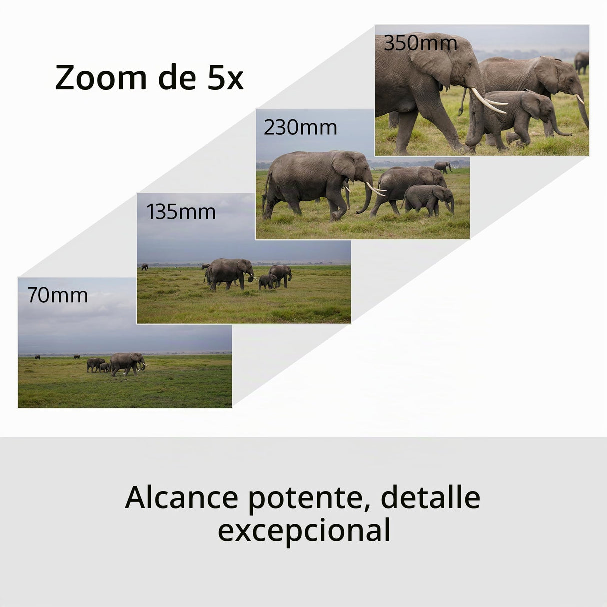 Kit Sony Alpha 6700 para fotografía de Fauna (APS-C) con Objetivos 16-50 II y 70-350 mm