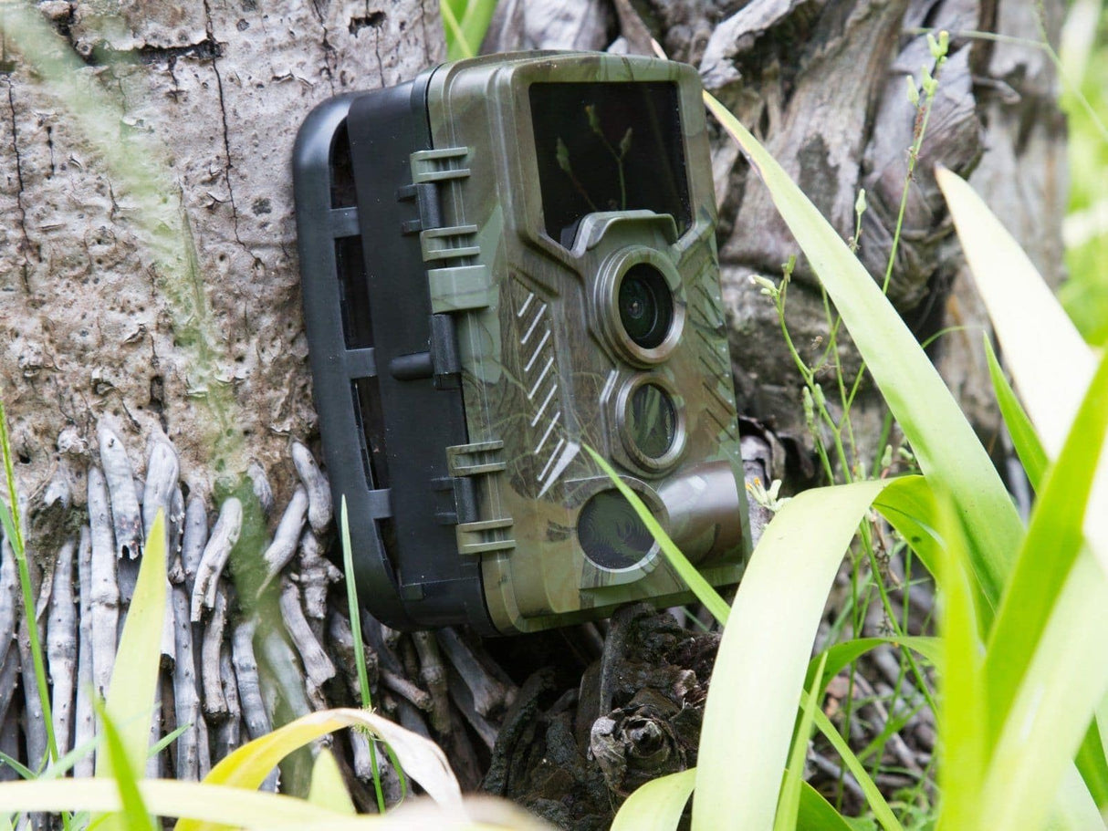 Technaxx Nature Wild 8MP camera for indoor and outdoor use - PIR sensor, IR LED for night shots, 1080p video, 2.4" TFT screen, IP56 protection - Nature Wild Cam TX-125