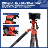 Fotopro X-Aircross 3 Video - Trípode Ligero para cámara de Viaje de 62 Pulgadas con Cabezal de Fluido de 2,35 Libras, trípode de Fibra de Carbono para cámara DSLR