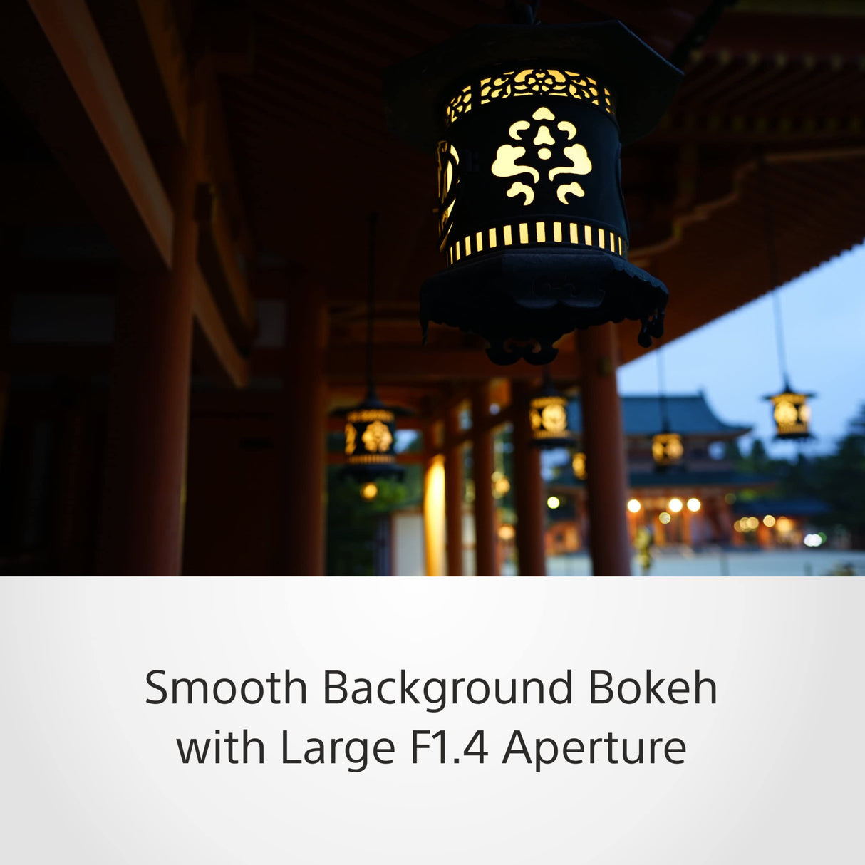 Sony Distagon T FE 35mm f/1.4 Zeiss - Objetivo Prime, Full-Frame, Rango Medio (SEL35F14Z)