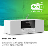 TechniSat DIGITRADIO 4 - Radio Dab estéreo (Dab+, FM, Bluetooth, Entrada para Auriculares, Entrada Auxiliar, Pantalla OLED, 20 W RMS, Altavoz Elac) Blanco