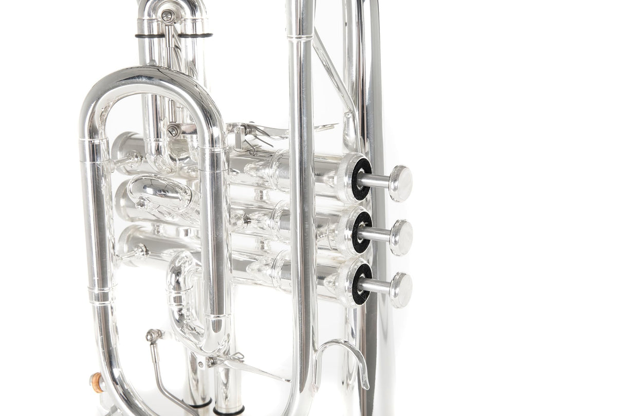 Roy Benson Bb-Cornet CR-302S (corneta profesional con diámetro ML, campana de latón de 119 mm, tudel de latón dorado, correderas exteriores de alpaca y válvulas de acero inoxidable), plateado