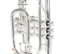 Roy Benson Bb-Cornet CR-302S (corneta profesional con diámetro ML, campana de latón de 119 mm, tudel de latón dorado, correderas exteriores de alpaca y válvulas de acero inoxidable), plateado