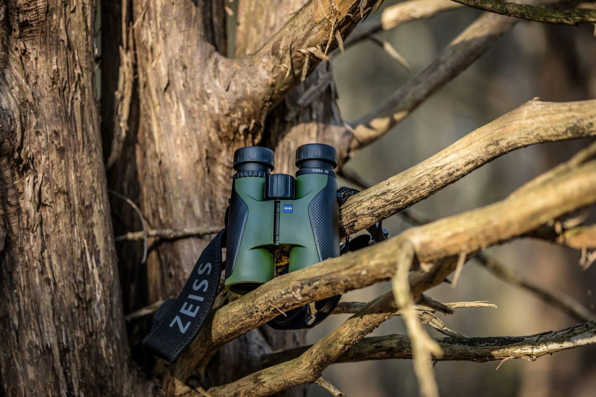 Zeiss Terra ED - Prismáticos 8x42, Verde/Negro