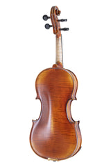 GEWA Maestro 2 VL 4/4 - Juego de violín (incluye formetui, arco Massaranduba y cuerdas Il Cannone)