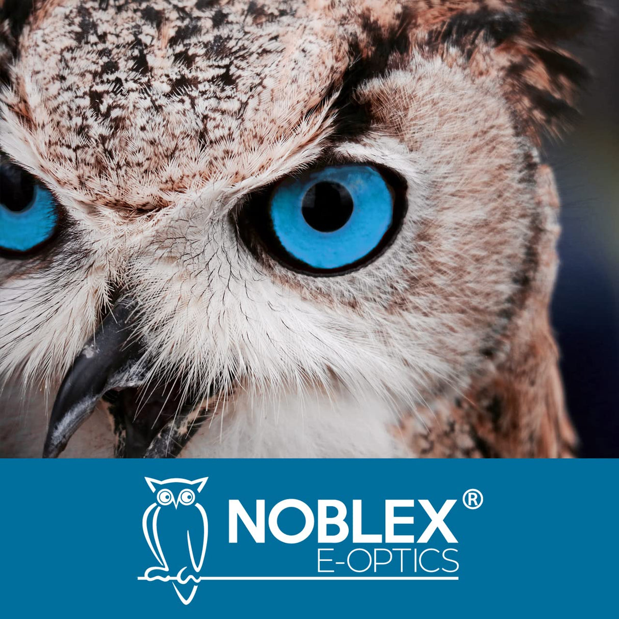 NOBLEX Prismáticos NF 10 x 25 Inception | Prismáticos Adultos para la Caza, observación de Aves, observación de la Naturaleza o Senderismo, Impermeables y Resistentes a los