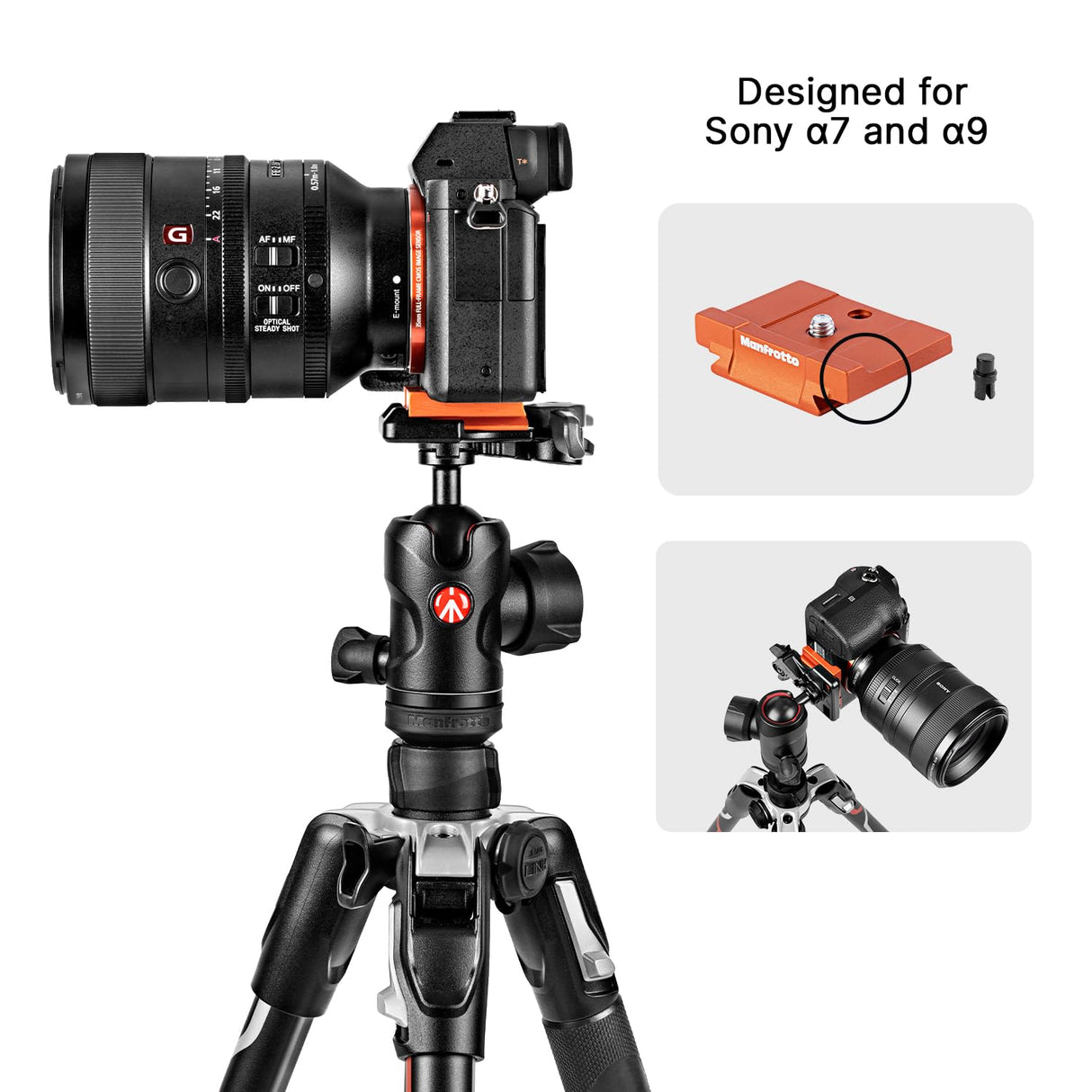 MANFROTTO Trépied Befree Advanced pour Sony Alpha - MKBFRLA-BH