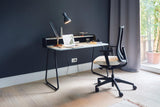 Sedus, Se:do Pro Light 2 - Silla de Oficina ergonómica, Membrana de Red, Color Negro, Soporte Lumbar, Soporte para el Cuello, Altura Regulable