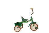 Italtrike- Transporter Triciclo, Color Verde, groß (IT1021TRA996182)