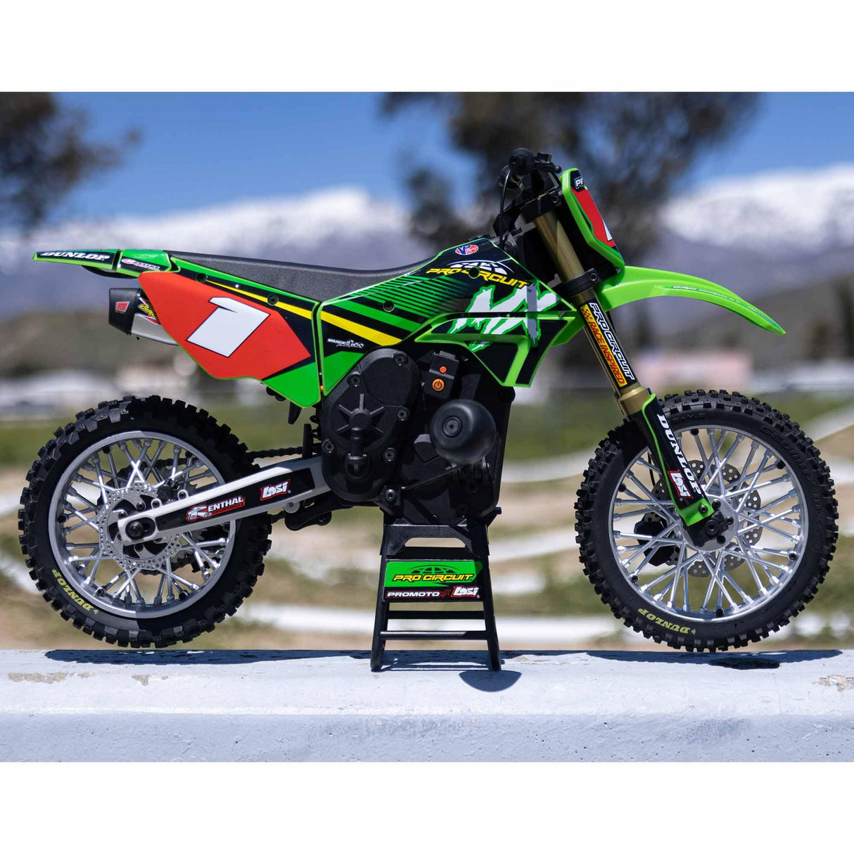 LOSI RC 1/4 Promoto-MX Motorcycle RTR with Battery and Charger, Pro Circuit, LOS06002, Green