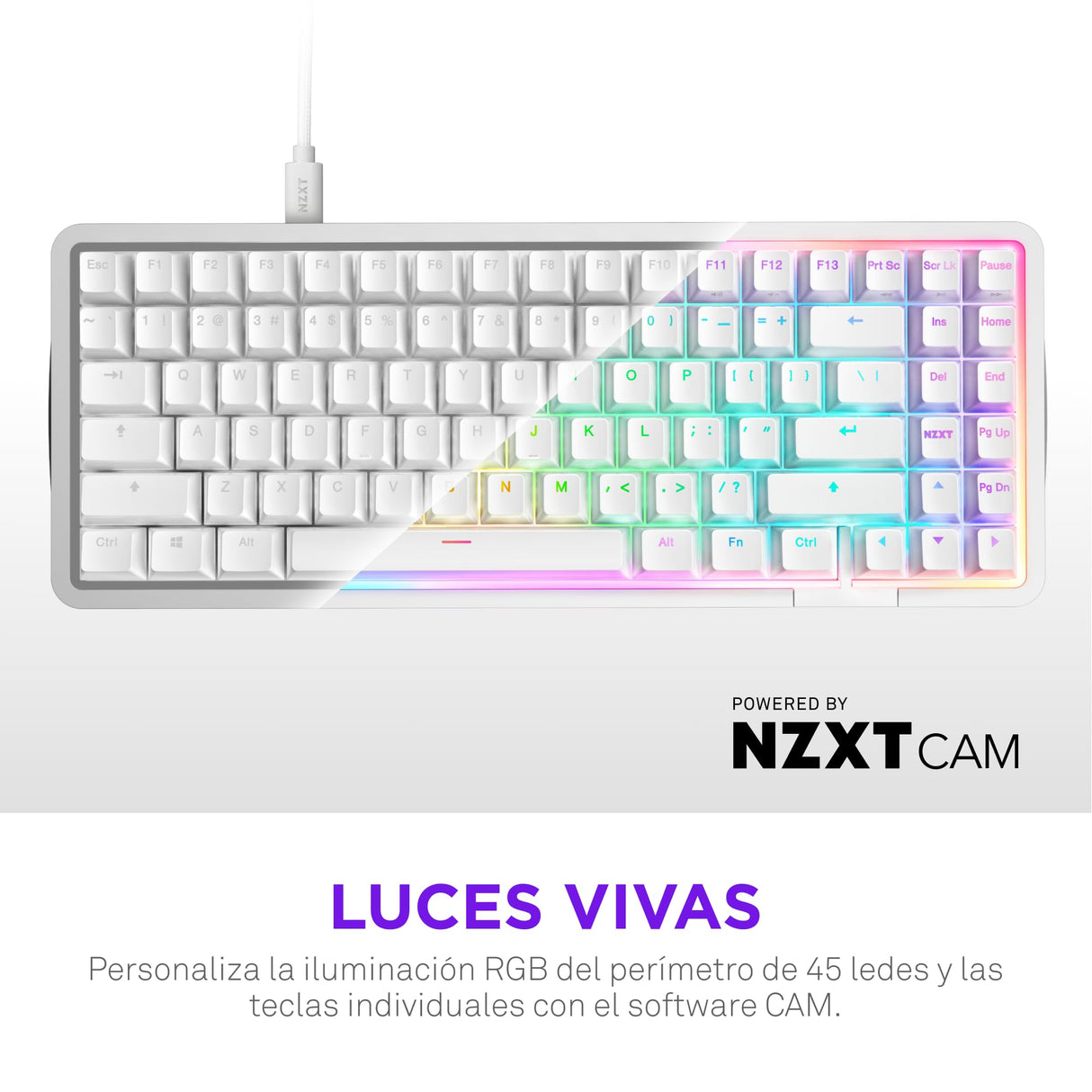 NZXT Teclado mecánico Gaming Function Elite MiniTKL con RGB magnético – Activación Ajustable – interruptores Hall Effect de Doble raíl –Disparador rápido – frecuencia de sondeo de 8K – DE – Blanco