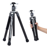 Fotopro Trípode de cámara de Viaje Ligero de 62 Pulgadas con monopod 360 Cabeza de Bola Extensible Estable 2.07 lbs trípode de Fibra de Carbono Profesional Ultraligero para cámara DSLR X-Aircross3