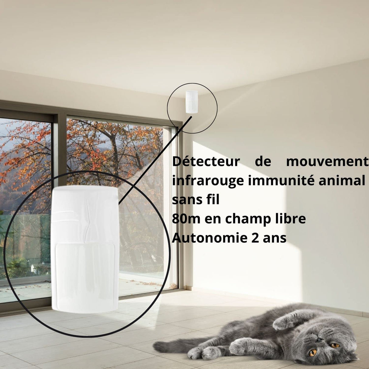 LIFEBOX - LBXEvolutionx4animalKC1 - Alarma Gran Casa Inalámbrica gsm con Cámara Lifebox Evolution Animal Kit Conectado 8 - Blanco