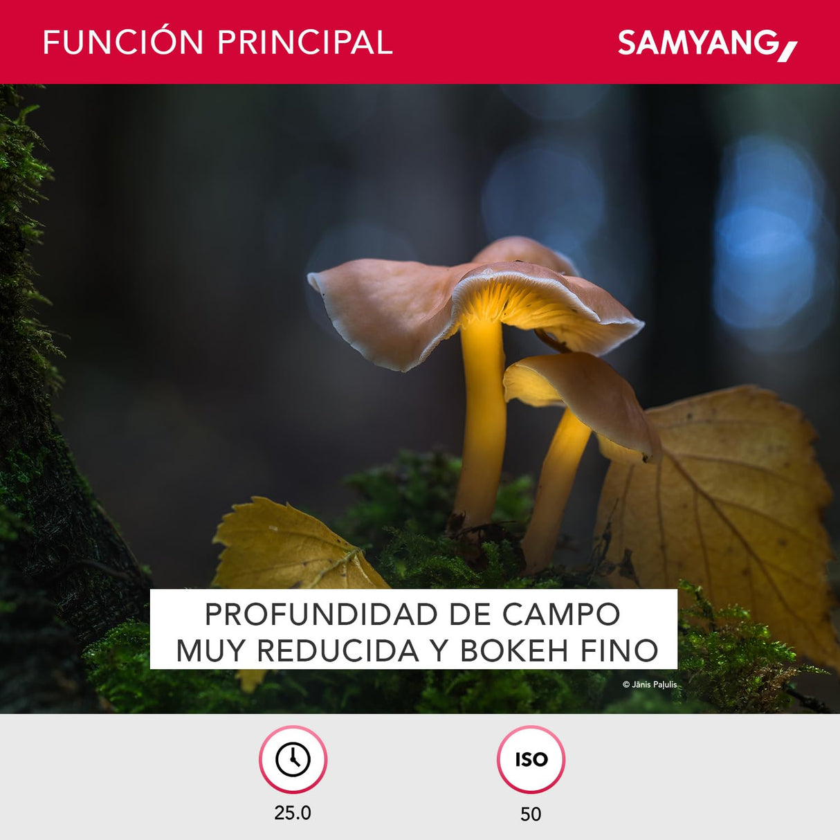 Samyang 135 mm F2.0 para Canon EF - Teleobjetivo de fotograma completo y distancia focal fija APS-C para cámara Canon EF/ EF-S, enfoque manual, para Canon EOS-1D X Mark III, 6D Mark II, 5D Mark IV
