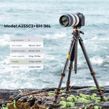 K&F CONCEPT Trípode Cámara de Carbono Compacto con Rótula de Bola 360°Compatible con Cámara DSLR, Carga Máxima: 15KG (A255C2+BH-36L)