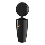 NEAT King Bee II Micrófono de Condensador de diafragma Grande con patrón Polar cardioide, Montura antivibratoria, Filtro antipop y Salida XLR pensado para grabación de Voz