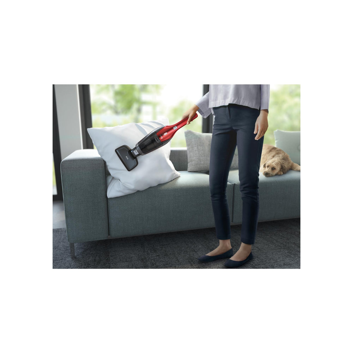 AEG CX7-2-45AN Aspiradora Sin Cable, Autonomía de 45 min, 18 V, 2 Velocidades, Cepillo 180º con LED, Aspiradora de Mano Especial Mascotas, Depósito de 0,5 L, Rojo
