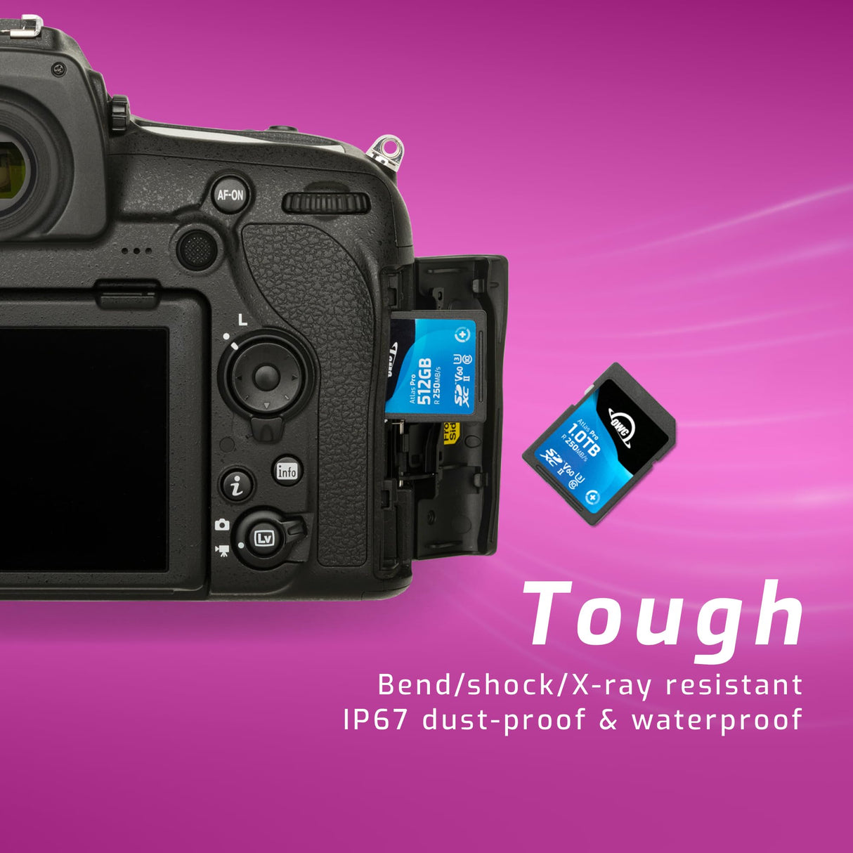 OWC Atlas Pro SDXC UHS-II V60 Tarjeta de Memoria, rentable y de máxima Calidad para los usos más habituales de Captura de Fotos y vídeos de hasta 4K - 512GB