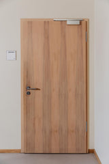 TESA DC175 DC175-EV1- cierrapuertas, EN 3/4, para puertas hasta 80 kg, brazo deslizante, para puertas cortafuegos, acabado Plata EV1, control regulable, control regulable para puertas de acceso