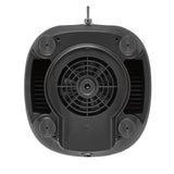 Hamilton Beach Batidora de Bar ® 908®R, HBB908R-CE, 1 HP, Recipiente de policarbonato de 1,3 L, 2 Velocidades, 220-240V, Negra