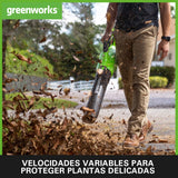 Greenworks GD40ABK2X Soplador de Hojas a Batería Axial con Motor sin Escobillas, 210 km/h, 15,6 m³/min, Dos Baterías de 40V 2Ah y Cargador, Garantía de 3 Años