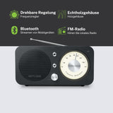 Muse M-095 BT - Radio
