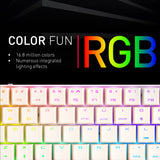 CHERRY MX-LP 2.1 Compact Wireless, Teclado Inalámbrico Compacto de Gaming con 69 Teclas, Distribución de Teclado Francés (AZERTY), Switches Mecánicos MX LOW PROFILE SPEED, Blanco