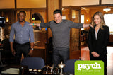 Psych - Die komplette Serie/Staffel 1-8 [Alemania] [DVD]