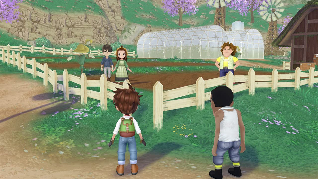 Story of Seasons: A Wonderful Life Premium Edition for Nintendo Switch [USA]
