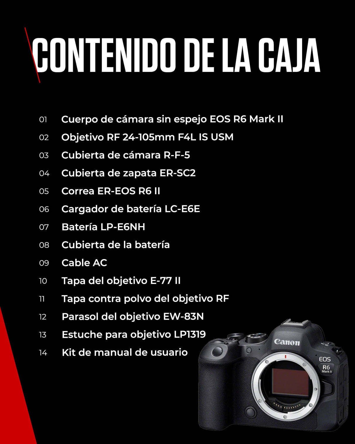 Canon EOS R6 Mark II + RF 24-105mm f/4L is USM Noir