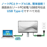 EIZO FlexScan FLT - Monitor Profesional - 23" IPS, 1920x1080, 1000:1, 250cd/m2