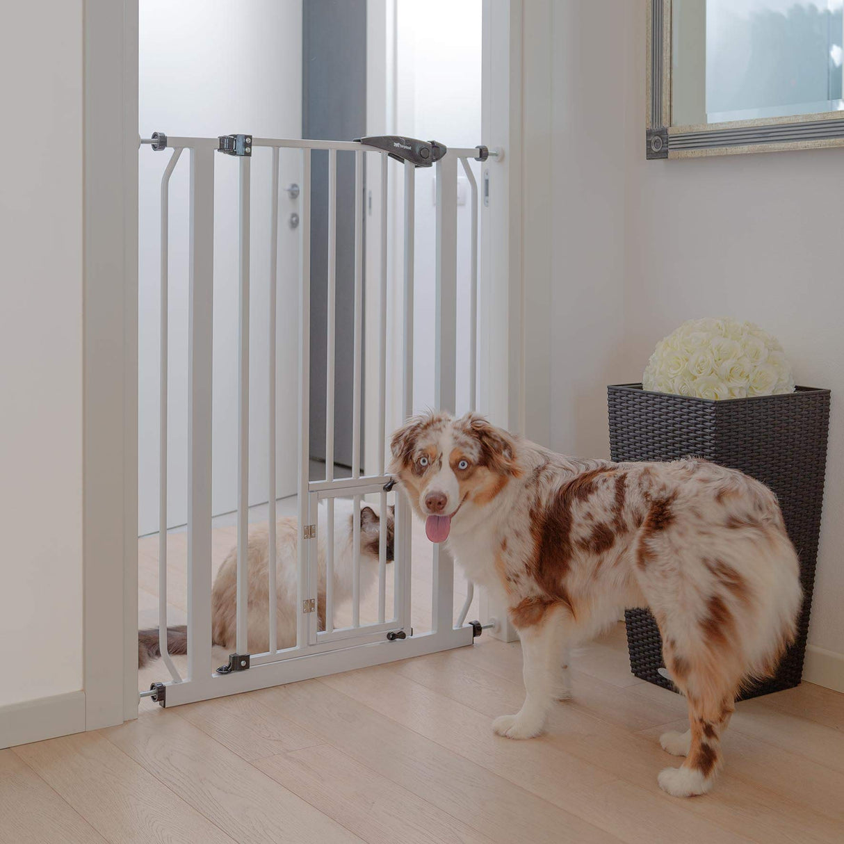 Ferplast Barrera de separación para perros y gatos PET GATE Barrera de interior, Valla, Robusto metal pintado Blanco y plástico, Cierre de seguridad, Abre en los dos sentidos, 73 x h 105 cm