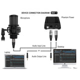 Audibax AT2020 - Microfono de Condesandor de Estudio - Incluye Cable XLR, Soporte de Mesa y Araña, Antivientos y Maletín - Respuesta en Frecuencia 50 Hz/20 KHz - Micrófono con Patrón Polar Cardioide