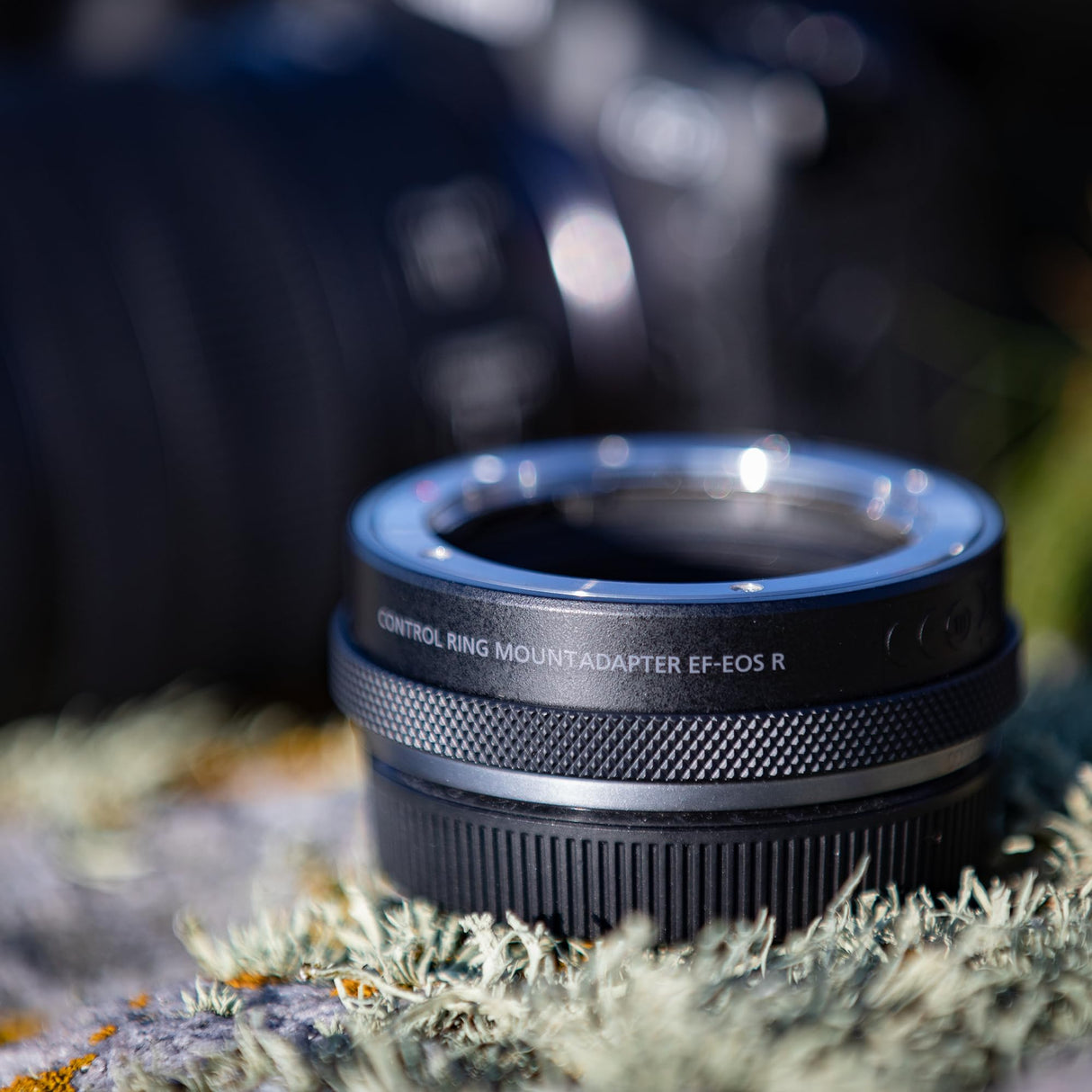 Canon EF-EOS R - Adaptor montura con anillo de control para objetivos EF y EF-S, color negro