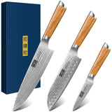 HOSHANHO Damasco Set Cuchillo 3 Piezas, Profesional Set Japoneses de Acero Damasco de 67 Capas, 20cm Cuchillo de Cocina, 18cm Cuchillo Santoku, 9.5cm Cuchillo de Fruta