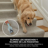 Shark StainStriker Limpiador de manchas con 5 accesorios, minicepillo para pelo de mascotas, boquilla estrecha, tubo de limpieza, 2 soluciones de limpieza incluidas, 450W, ligero, Gris, PX200EUCP