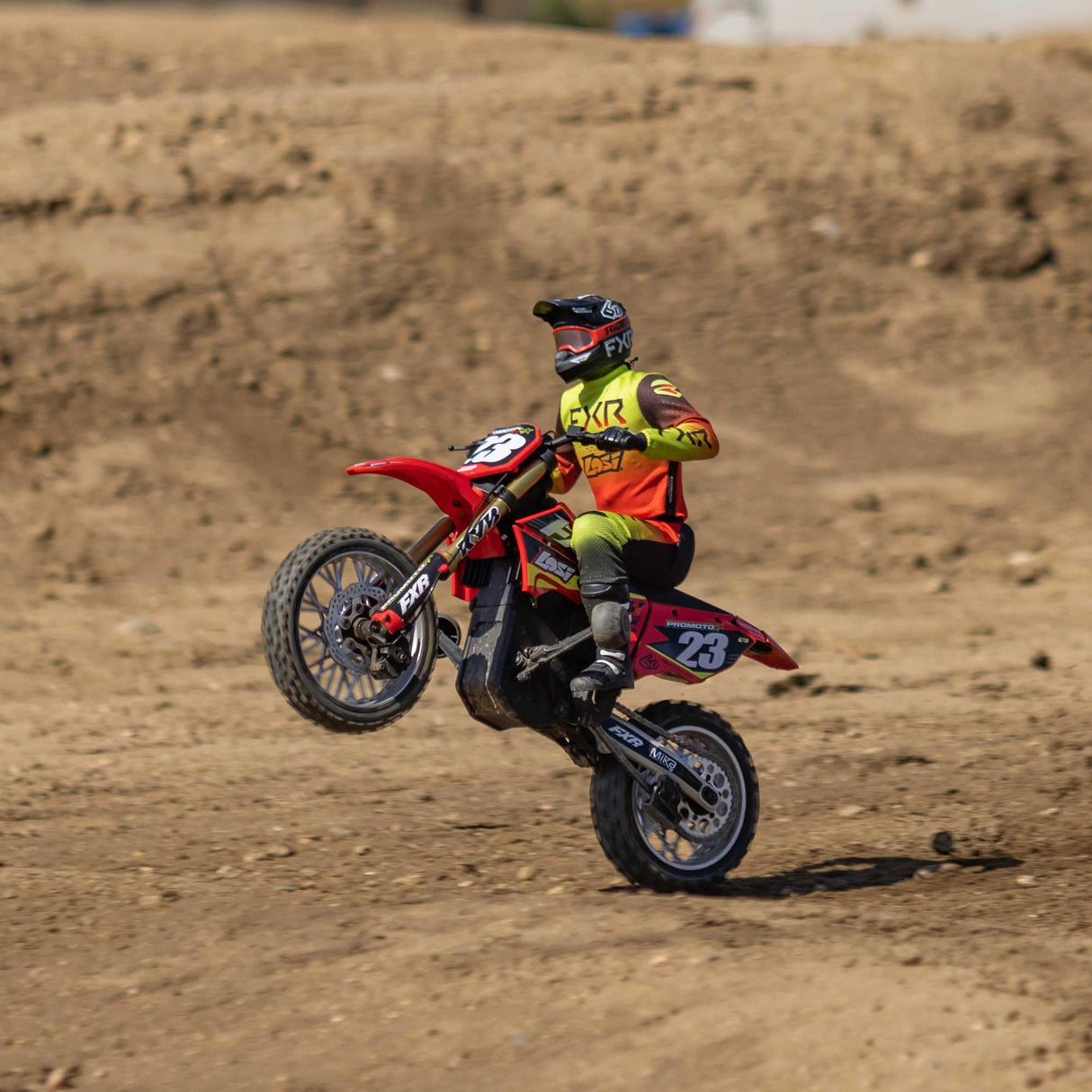 LOSI RC Promoto-MX 1/4 Motorcycle RTR (Battery and Charger Not Included), FXR, LOS06000T1, Red