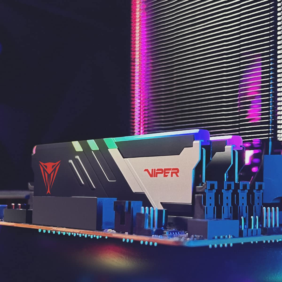 Memoria Patriot Viper Venom RGB DDR5 de 32 GB (2 x 16 GB) a 6400 MHz UDIMM para Juegos de Escritorio - Kit de Memoria PVVR532G640C32K