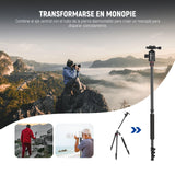 NEEWER 77" Trípode Monopie Cámara con Soporte Móvil Trípode Portátil Viaje con Control Remoto 360° Cabezal Esférico 2 Ejes Columna Central Placa Arca QR y Bolsa Trípode DSLR de Aluminio Máx 34lb, TP77