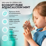 Ecosoft P'URE AquaCalcium - Filtro con Bomba Montado Sobre Estructura Metálica, Ósmosis Inversa Para el Hogar, Elimina el 99.8 % de los Contaminantes del Agua, Mineraliza el Agua Potable con Calcio