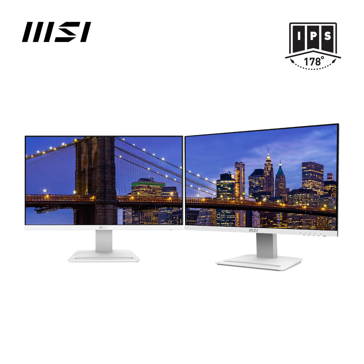 MSI PRO MP243XP Monitor Oficina 23.8" FHD, Panel IPS 1920 x 1080, 100 Hz, Pantalla Confort Ocular, Montaje VESA, Altavoces Integrados, Soporte Display Kit, Regulable, HDMI 1.4, DP 1.2a