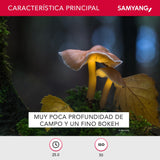 Samyang F1112203101 - Objetivo fotográfico DSLR para Nikon F Ae (Distancia Focal Fija 135mm, Apertura f/2-22 ED UMC, diámetro Filtro: 77mm), Negro