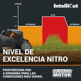 WORX Cortacésped WG737E Nitro con batería de 40 V (2 x 20 V), Potente Motor sin escobillas, Ancho de Corte de 37 cm, 6 Niveles de Altura de Corte (20 – 70 mm), Saco recogedor de césped de 40 l,