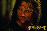 Der Herr der Ringe: Extended Edition Trilogie [Alemania] [4k Ultra-HD + Blu-Ray]