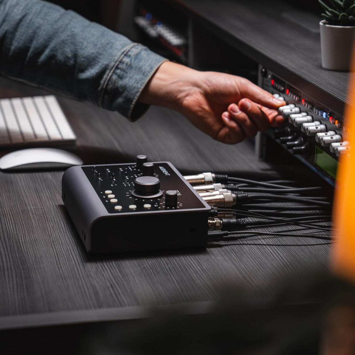 Interfaz de audio Audient iD24, 2 preamplificadores de micrófono de clase A (interfaz de audio USB-C de alto rendimiento, bucle de retorno de audio, 2 salidas de auriculares)