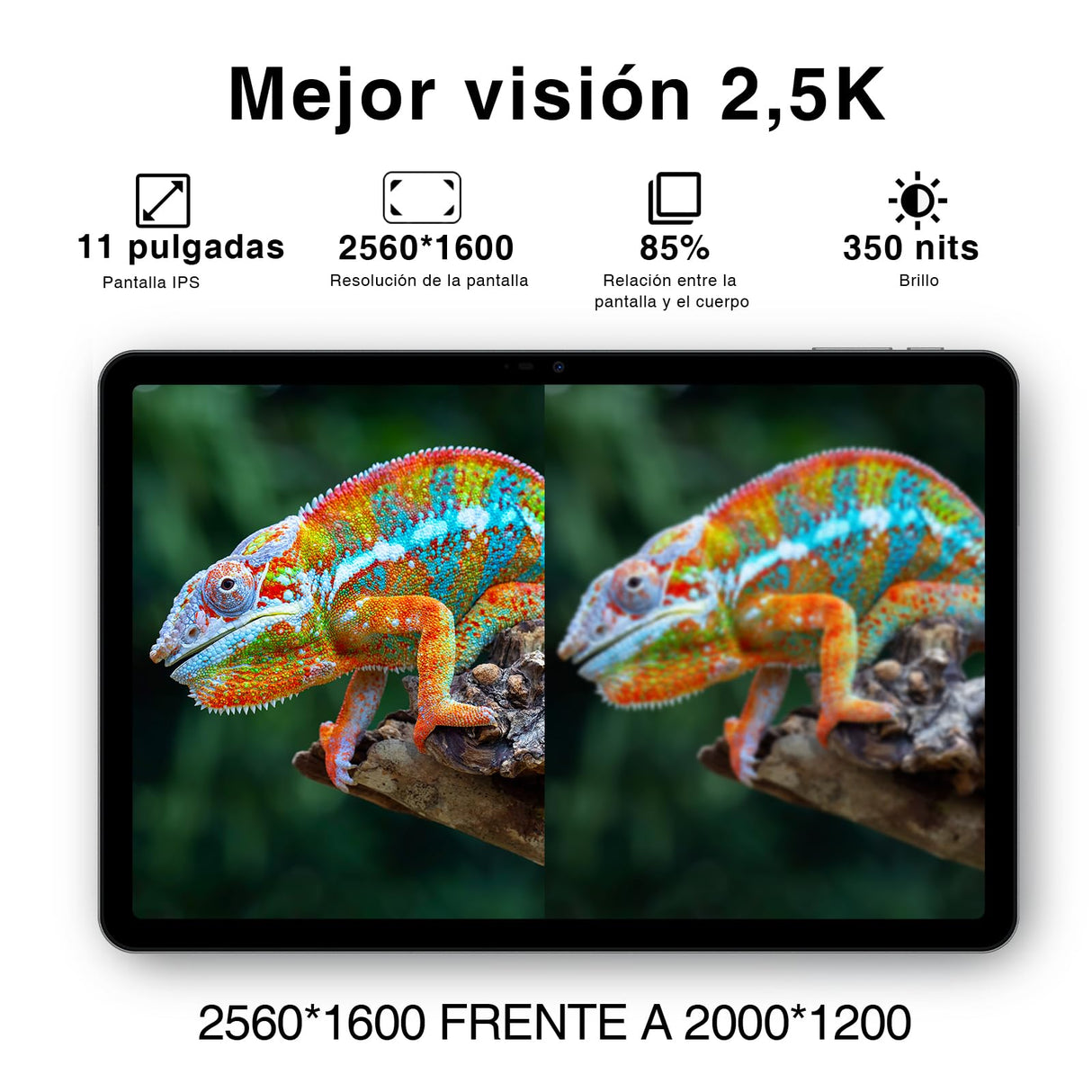 DOOGEE T30 Pro Android 13 Tablet, 11 Pulgadas 2.5K Full HD 1600 * 2560/15 GB RAM + 256 GB ROM(2TB)/Helio G99 2.2GHz/8580mAh/20MP/Dual 4G LTE+5G WiFi/Type-C