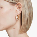 Swarovski Pendientes de aro Imber, Talla redonda, Blancos, Baño tono oro