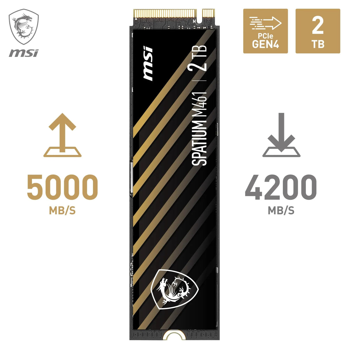msi SPATIUM M461 PCIe 4.0 NVMe M.2 2TB
